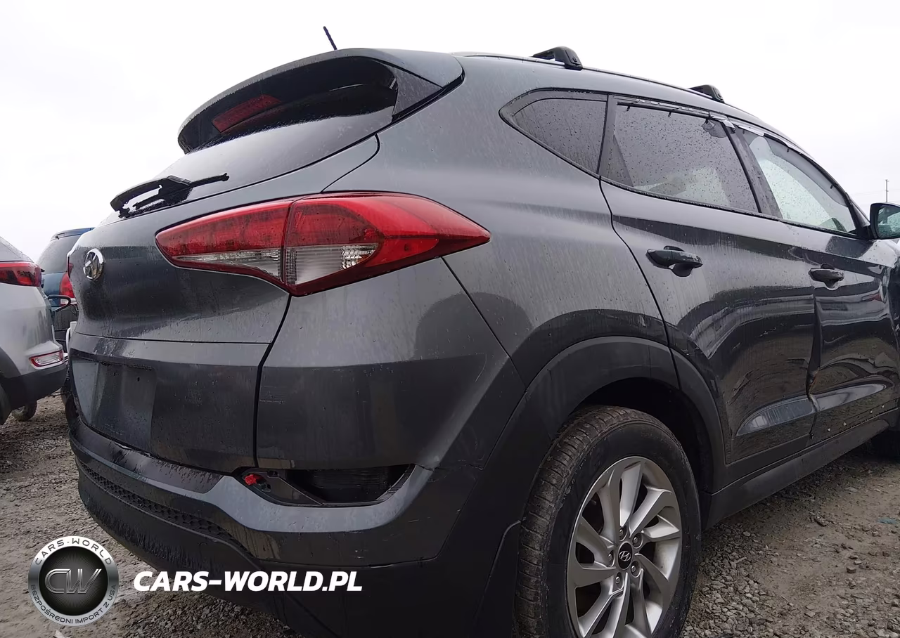 2016 Hyundai Tucson Se VIN:KM8J33A47GU198329 - 13