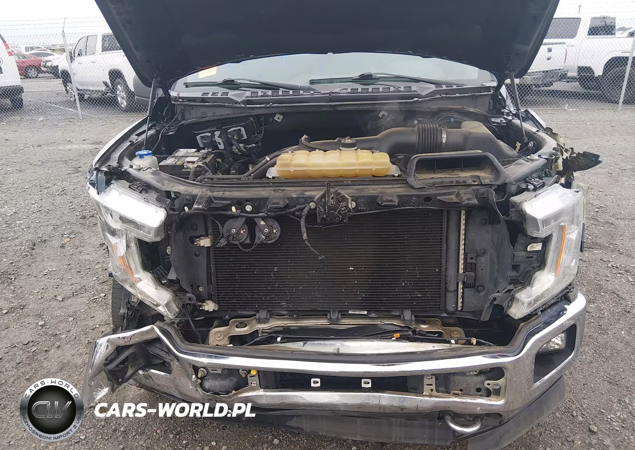 2019 Ford F-150 Xlt VIN:1FTEW1EP0KFD44721 - 10