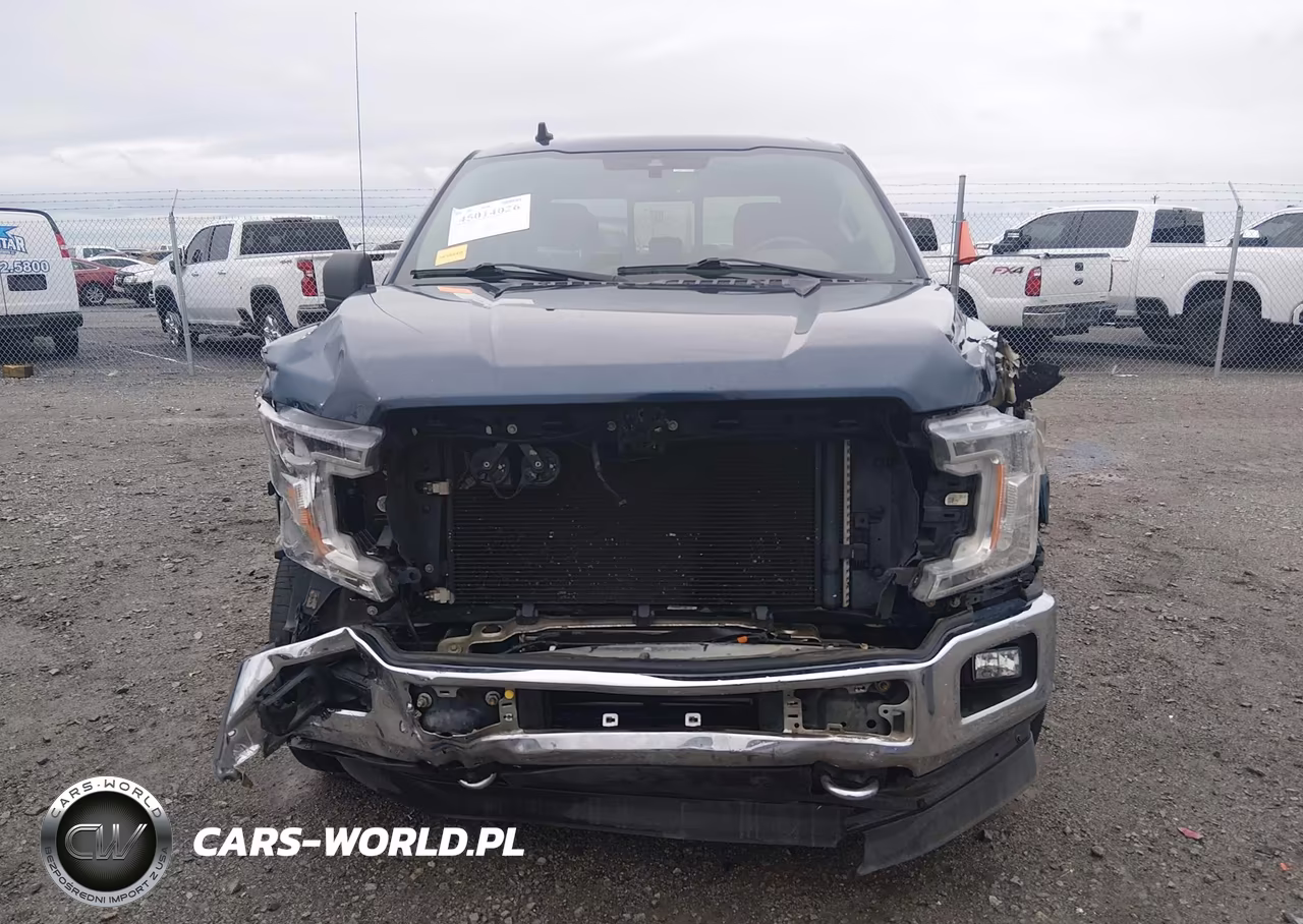 2019 Ford F-150 Xlt VIN:1FTEW1EP0KFD44721 - 13