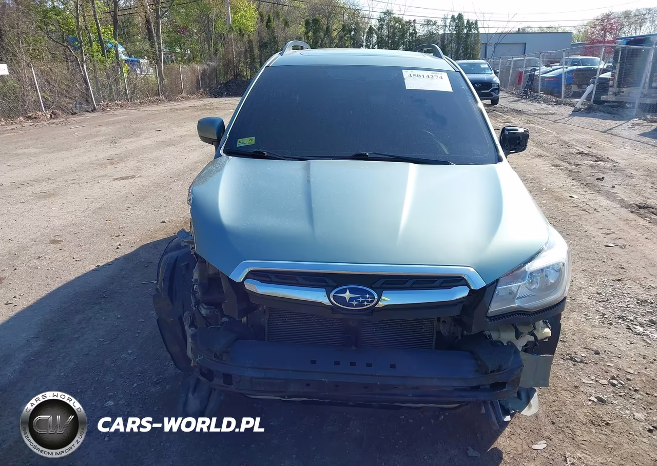 2017 Subaru Forester 2.5I Premium VIN:JF2SJAEC7HH497206 - 12