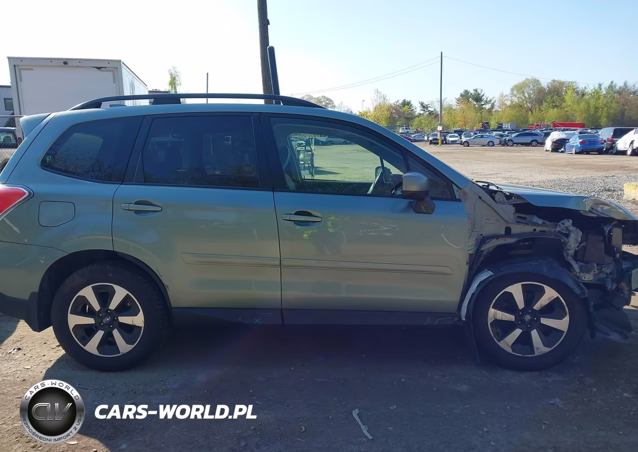 2017 Subaru Forester 2.5I Premium VIN:JF2SJAEC7HH497206 - 13