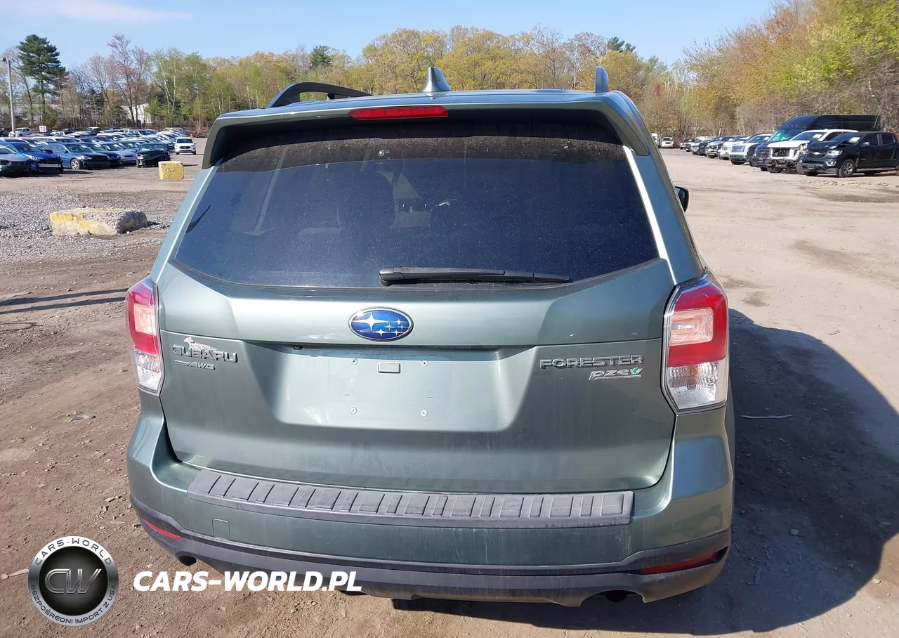 2017 Subaru Forester 2.5I Premium VIN:JF2SJAEC7HH497206 - 16