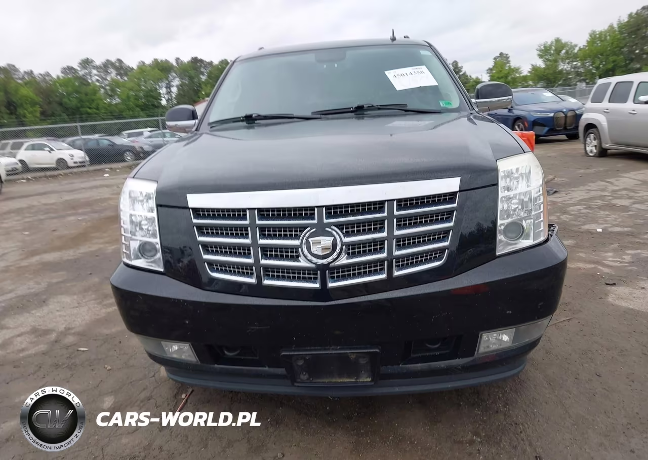 2010 Cadillac Escalade Esv Standard VIN:1GYUKGEFXAR144129 - 12