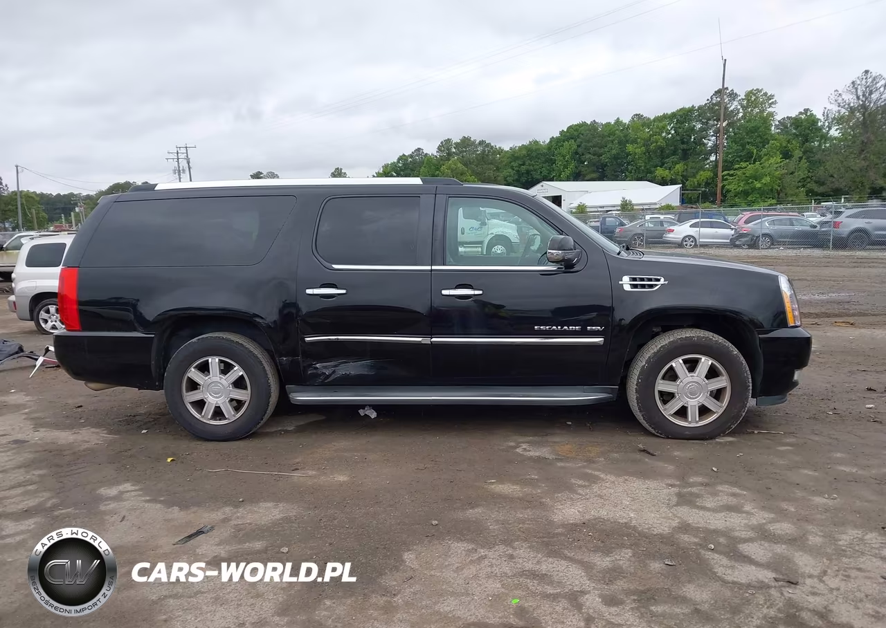 2010 Cadillac Escalade Esv Standard VIN:1GYUKGEFXAR144129 - 13