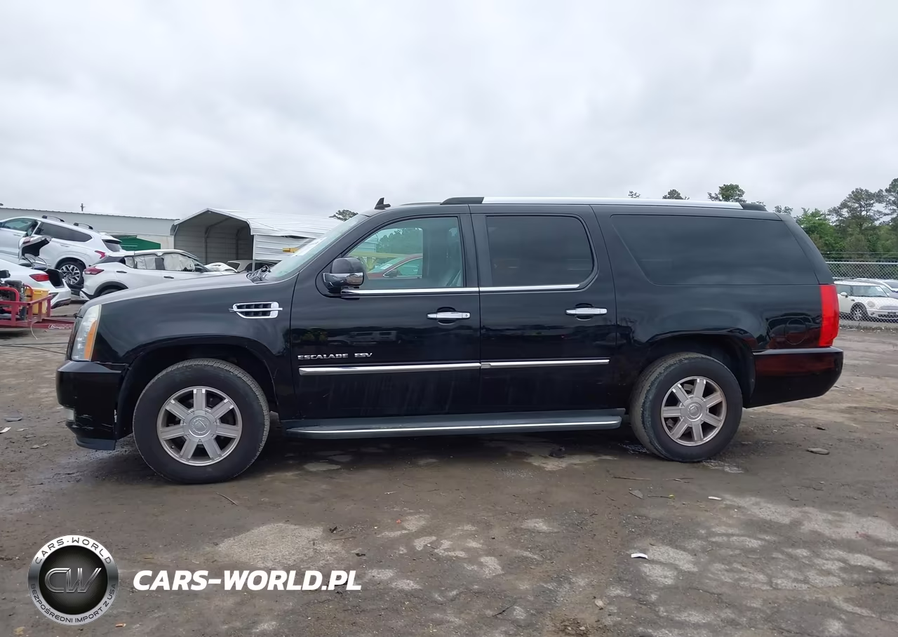2010 Cadillac Escalade Esv Standard VIN:1GYUKGEFXAR144129 - 14