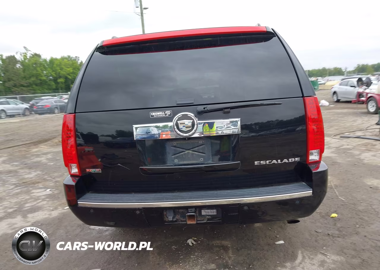 2010 Cadillac Escalade Esv Standard VIN:1GYUKGEFXAR144129 - 16