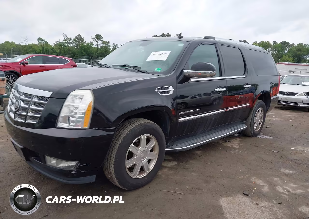 2010 Cadillac Escalade Esv Standard VIN:1GYUKGEFXAR144129 - 2