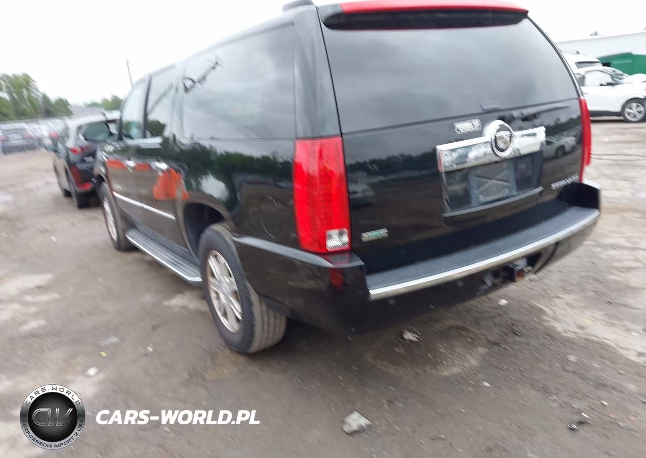 2010 Cadillac Escalade Esv Standard VIN:1GYUKGEFXAR144129 - 3