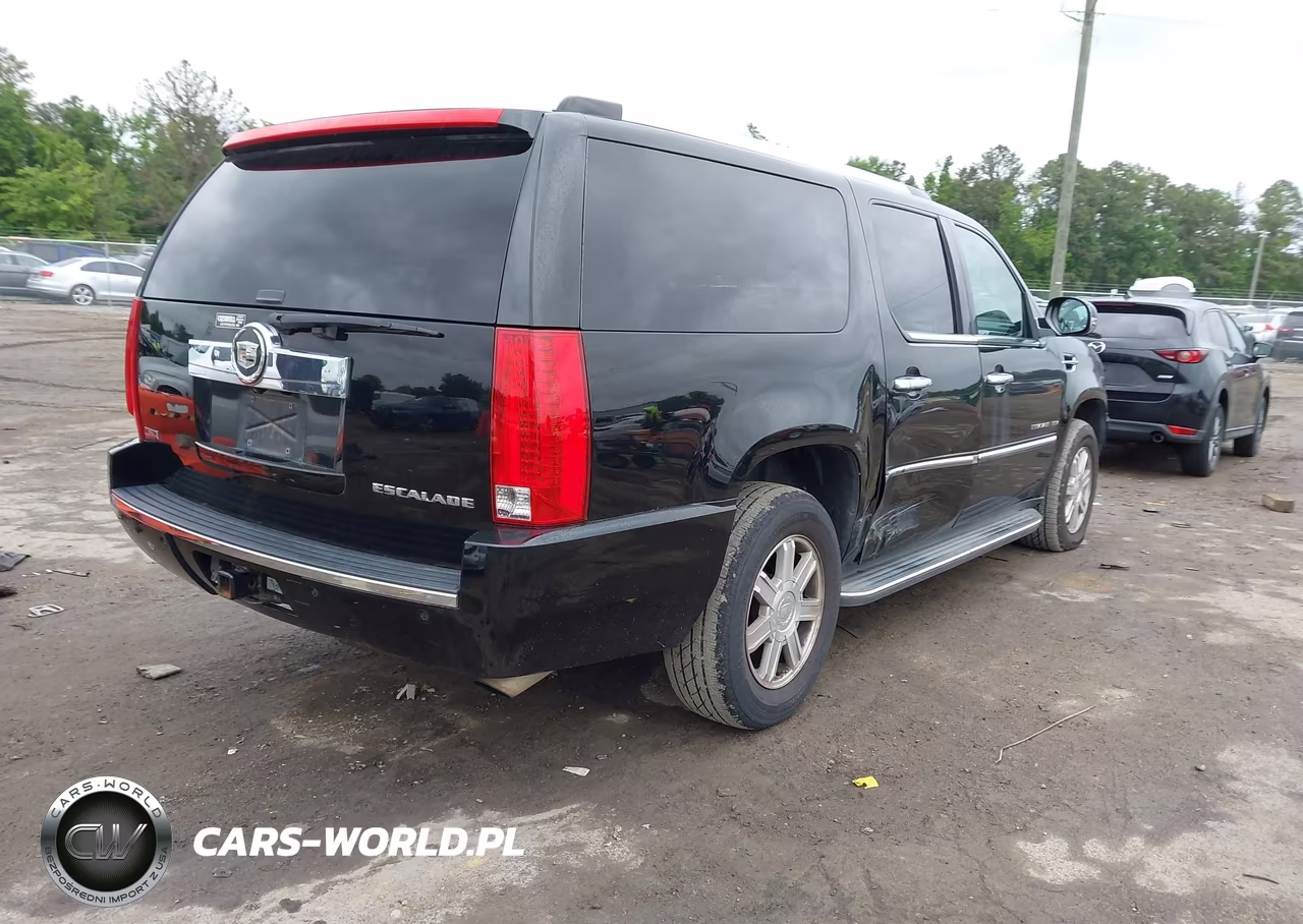 2010 Cadillac Escalade Esv Standard VIN:1GYUKGEFXAR144129 - 4