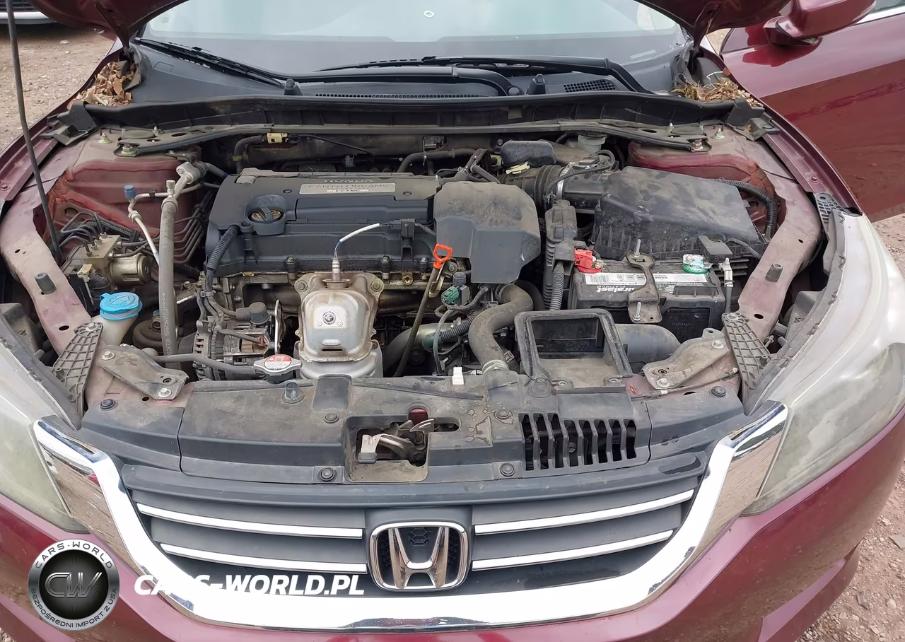 2013 Honda Accord Ex-L VIN:1HGCR2F85DA261282 - 10