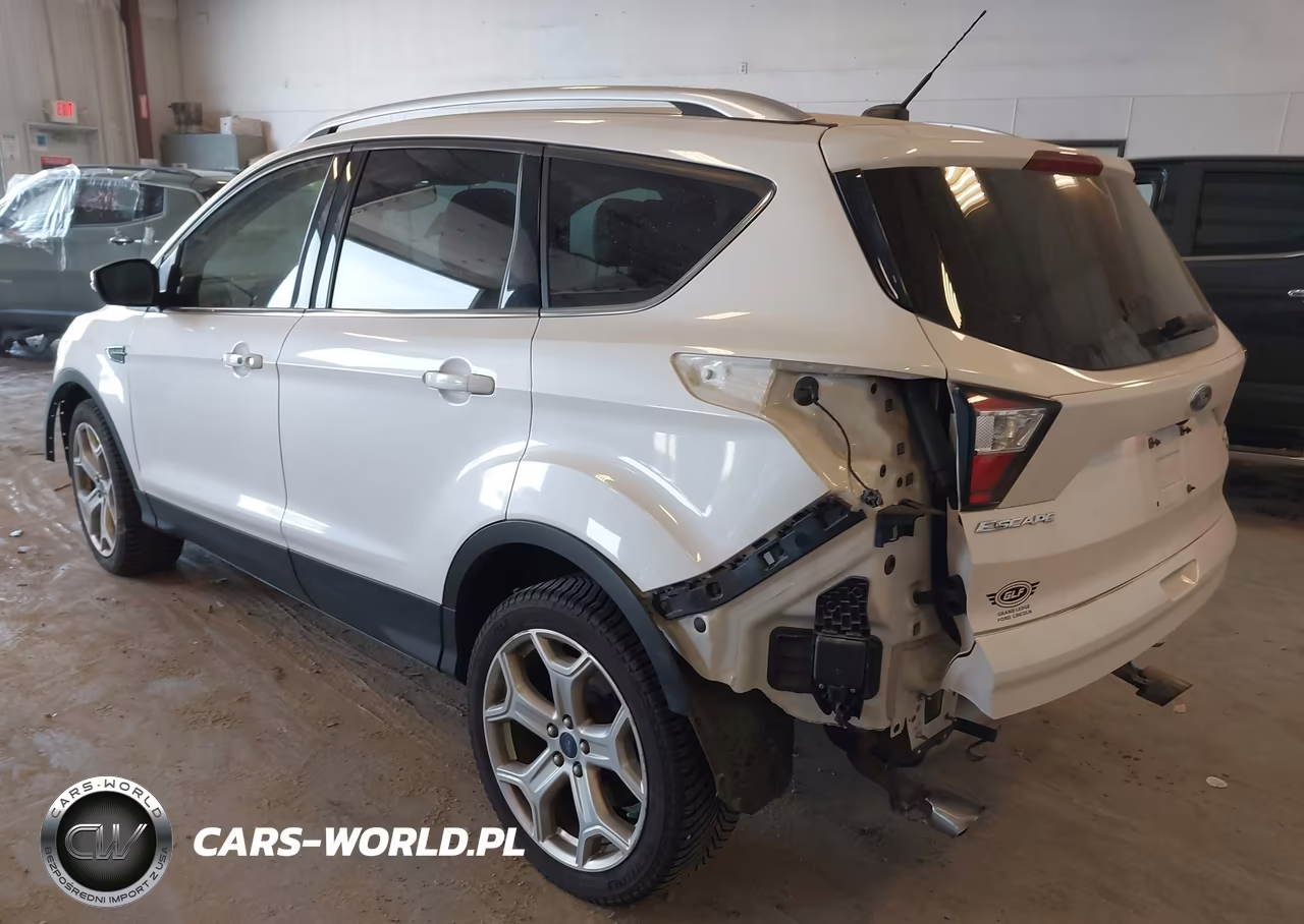 2017 Ford Escape Titanium VIN:1FMCU9J92HUE06445 - 3