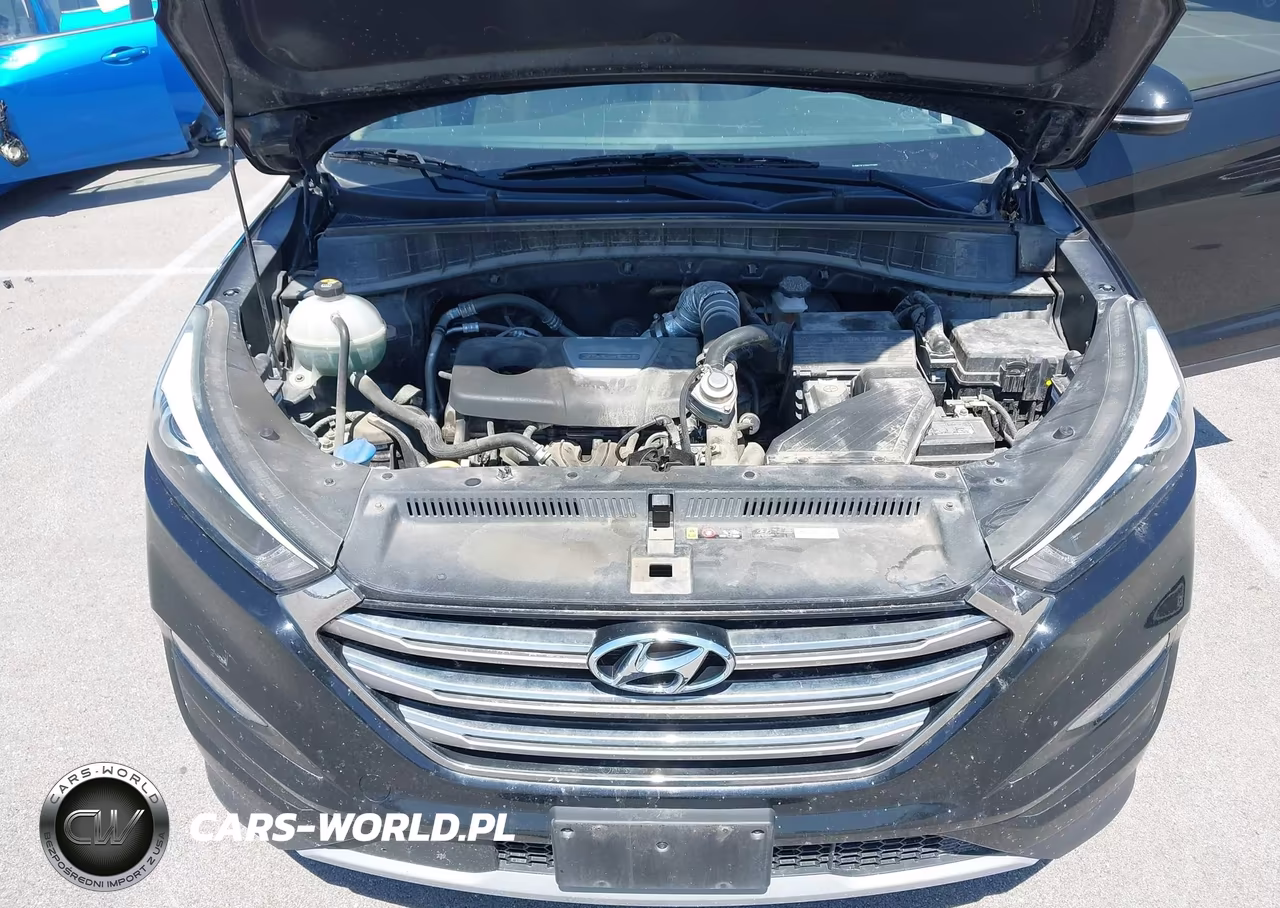 2017 Hyundai Tucson Limited VIN:KM8J3CA26HU275885 - 10