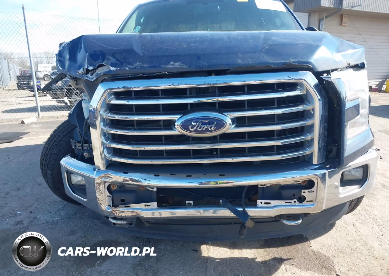 2015 Ford F-150 Xlt VIN:1FTFX1EF2FFB08456 - 12