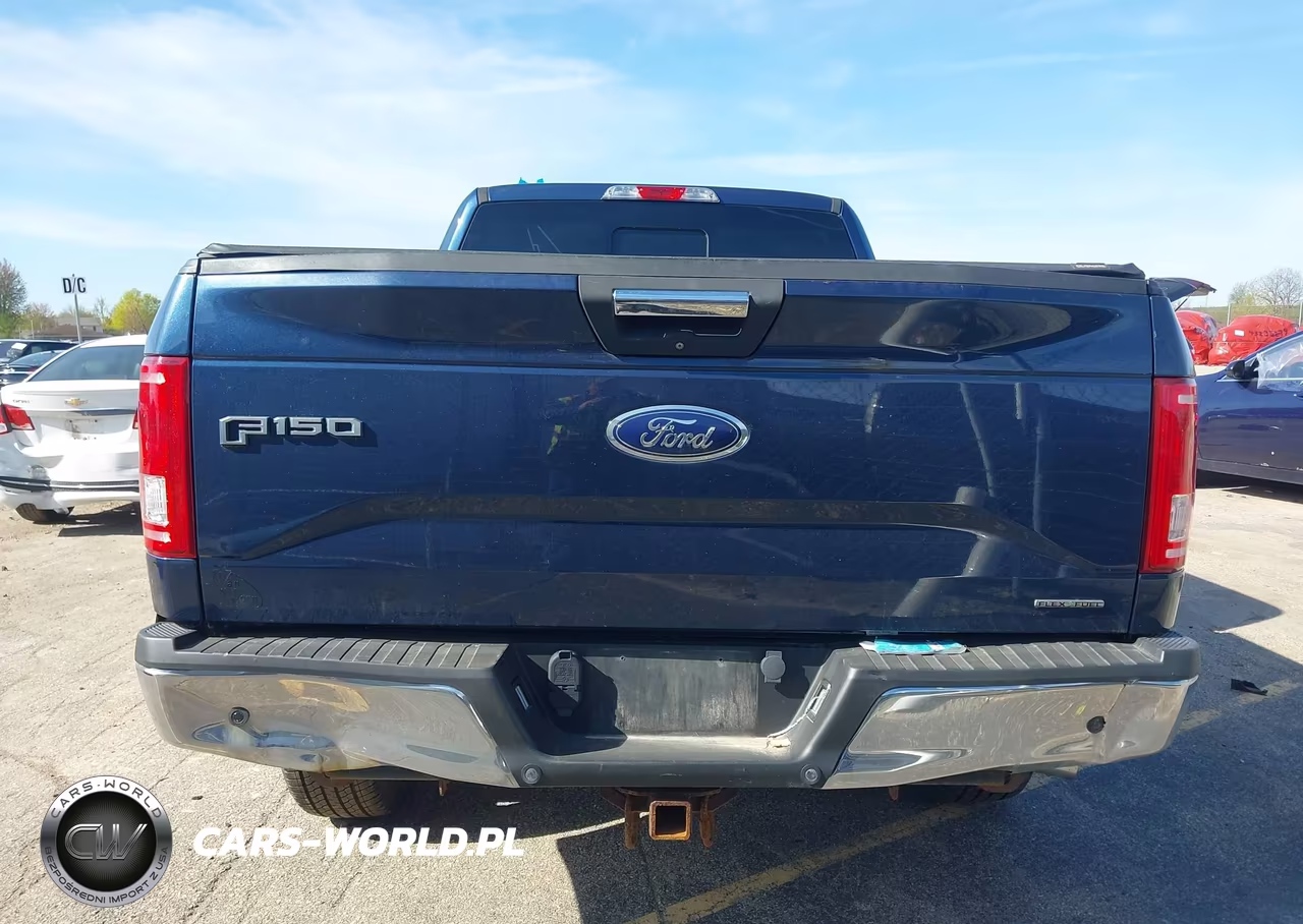 2015 Ford F-150 Xlt VIN:1FTFX1EF2FFB08456 - 16