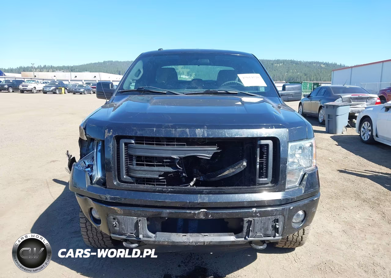 2014 Ford F-150 Stx VIN:1FTFX1EF1EFA84861 - 12