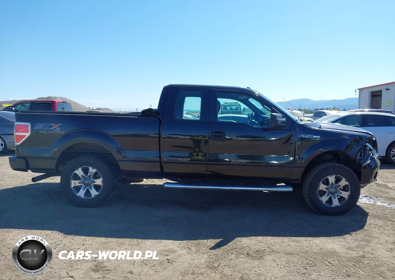 2014 Ford F-150 Stx VIN:1FTFX1EF1EFA84861 - 13