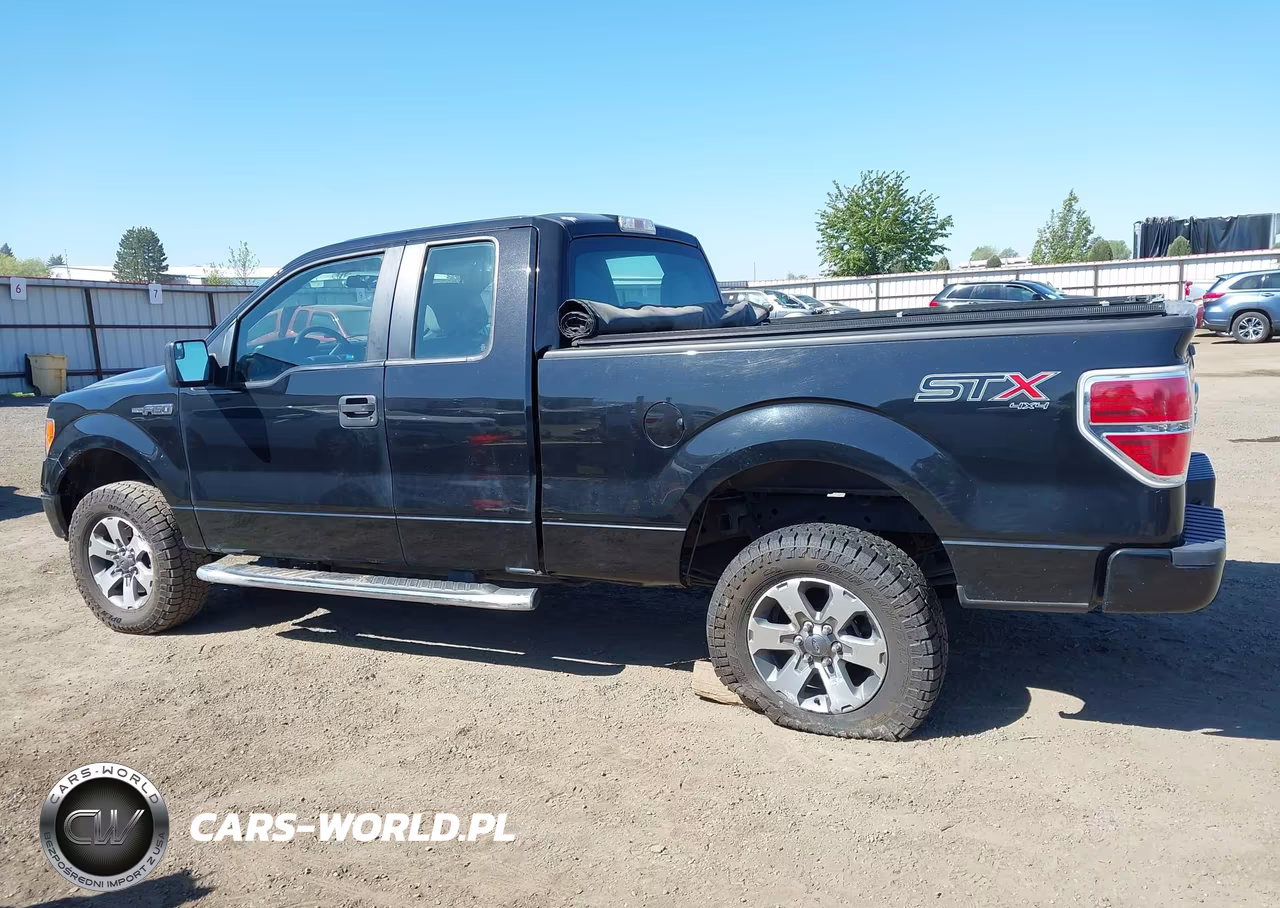 2014 Ford F-150 Stx VIN:1FTFX1EF1EFA84861 - 14