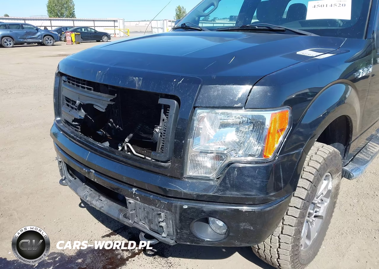 2014 Ford F-150 Stx VIN:1FTFX1EF1EFA84861 - 17
