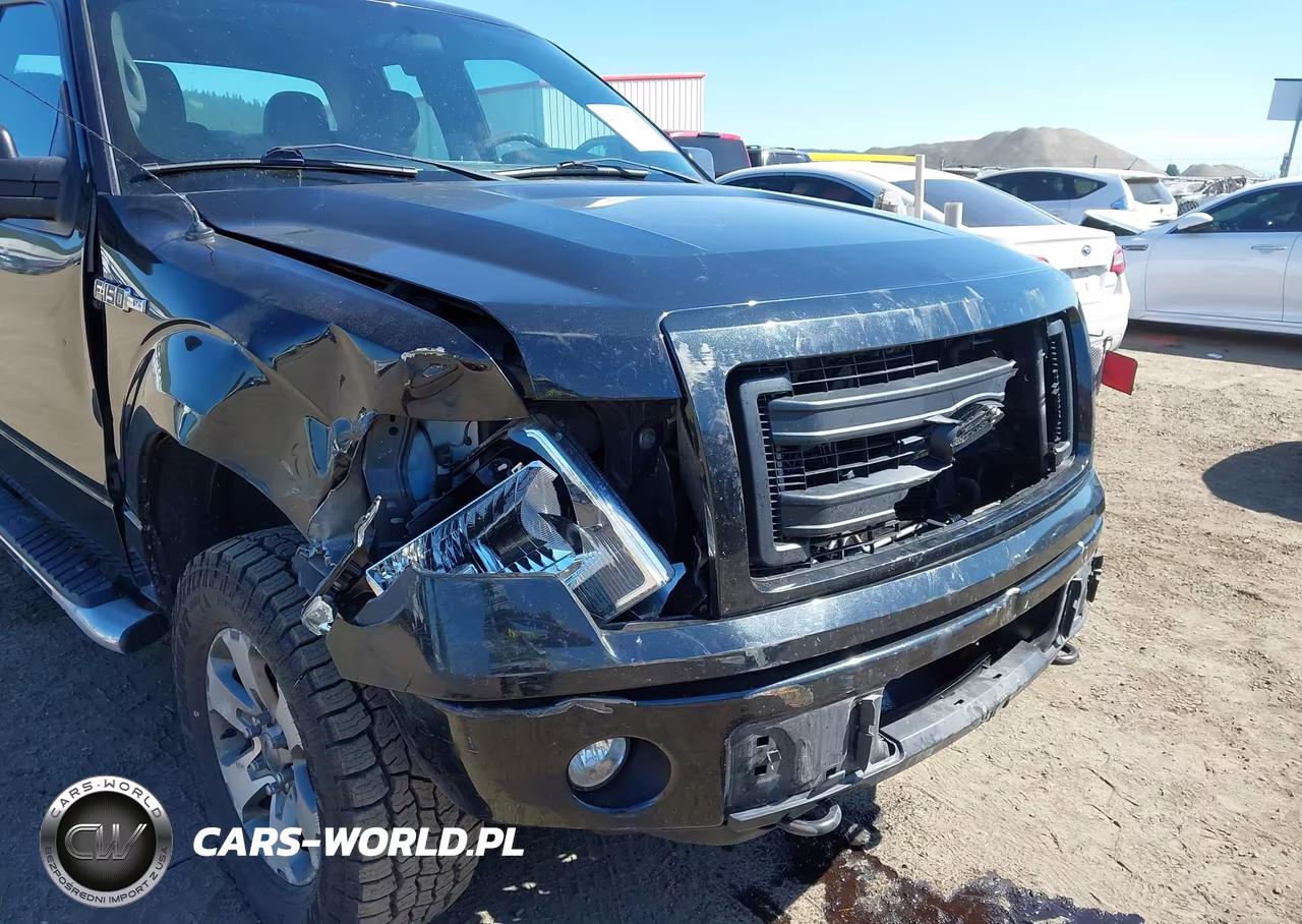 2014 Ford F-150 Stx VIN:1FTFX1EF1EFA84861 - 18