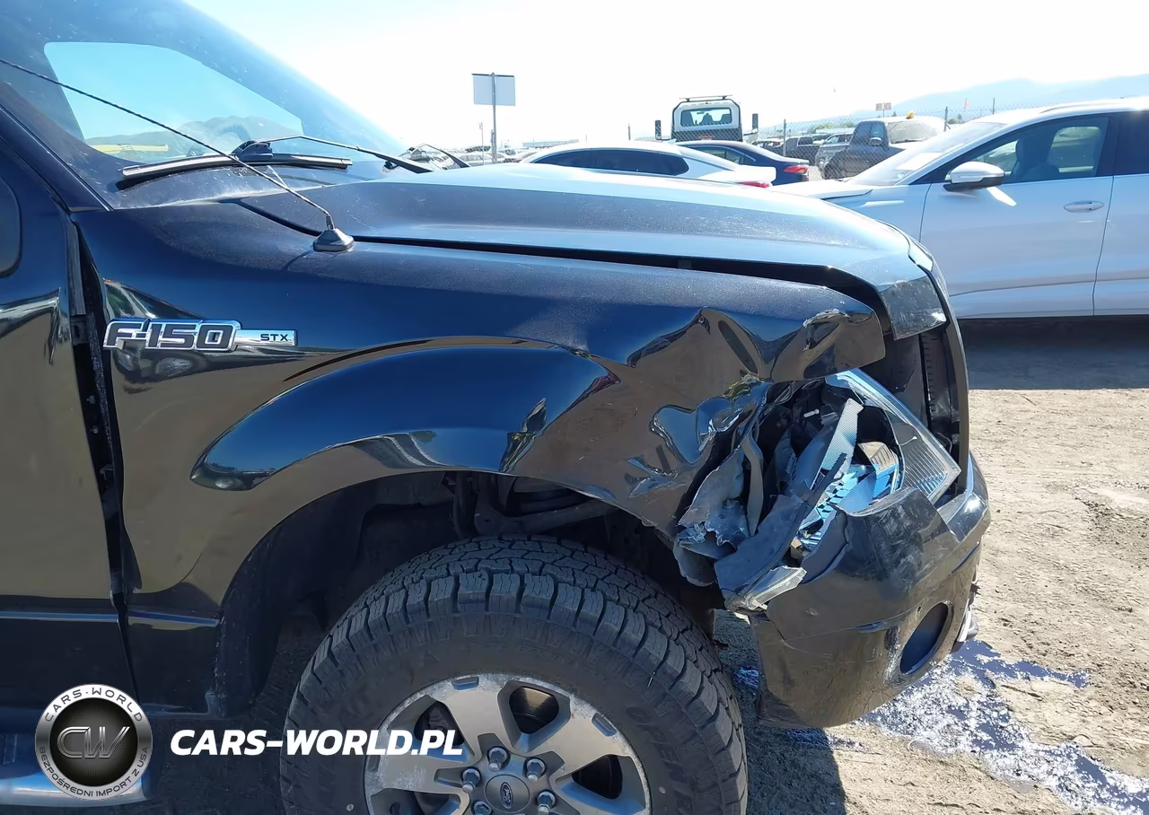 2014 Ford F-150 Stx VIN:1FTFX1EF1EFA84861 - 19