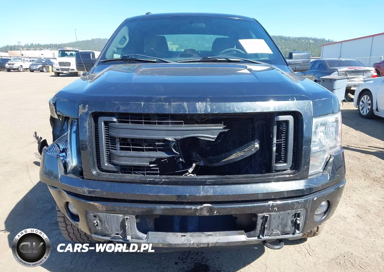 2014 Ford F-150 Stx VIN:1FTFX1EF1EFA84861 - 6