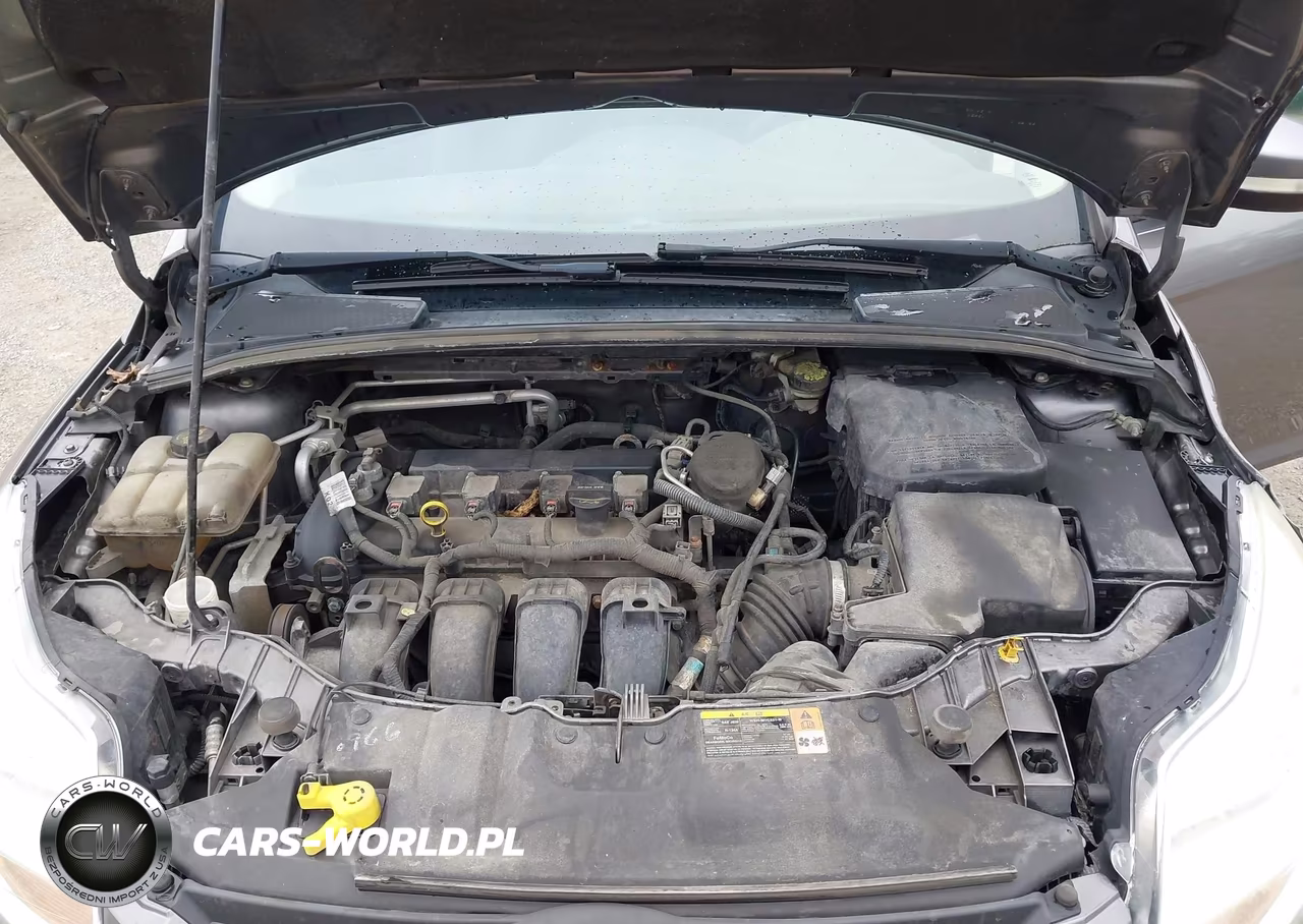 2014 Ford Focus Se VIN:1FADP3F26EL106360 - 10