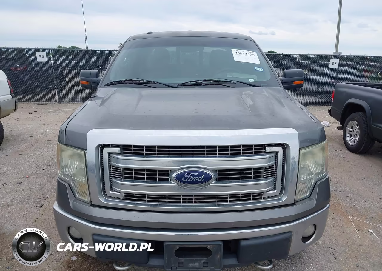 2013 Ford F-150 Xlt VIN:1FTFW1EF4DKG22574 - 12