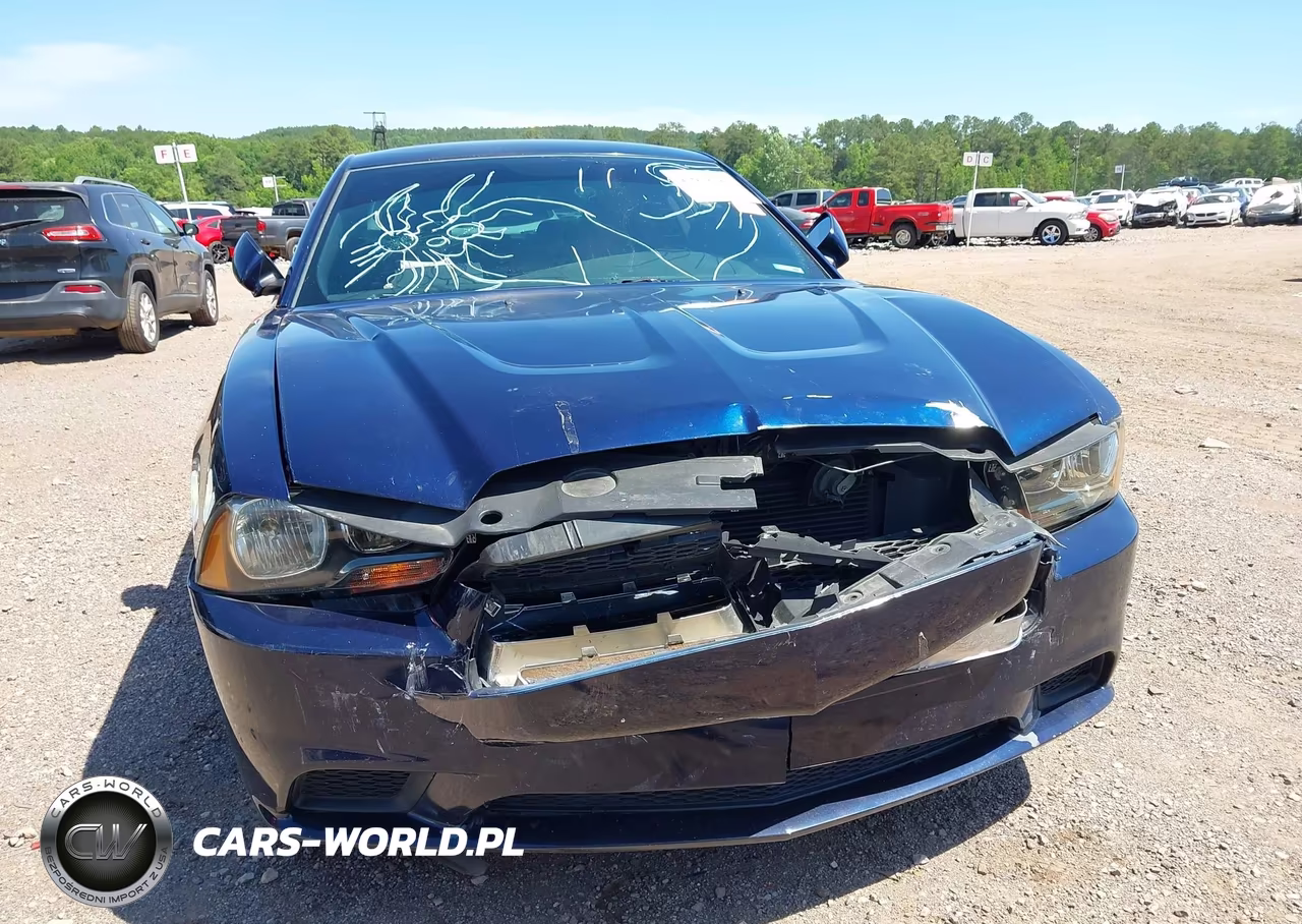 2014 Dodge Charger Se VIN:2C3CDXBG0EH248423 - 12