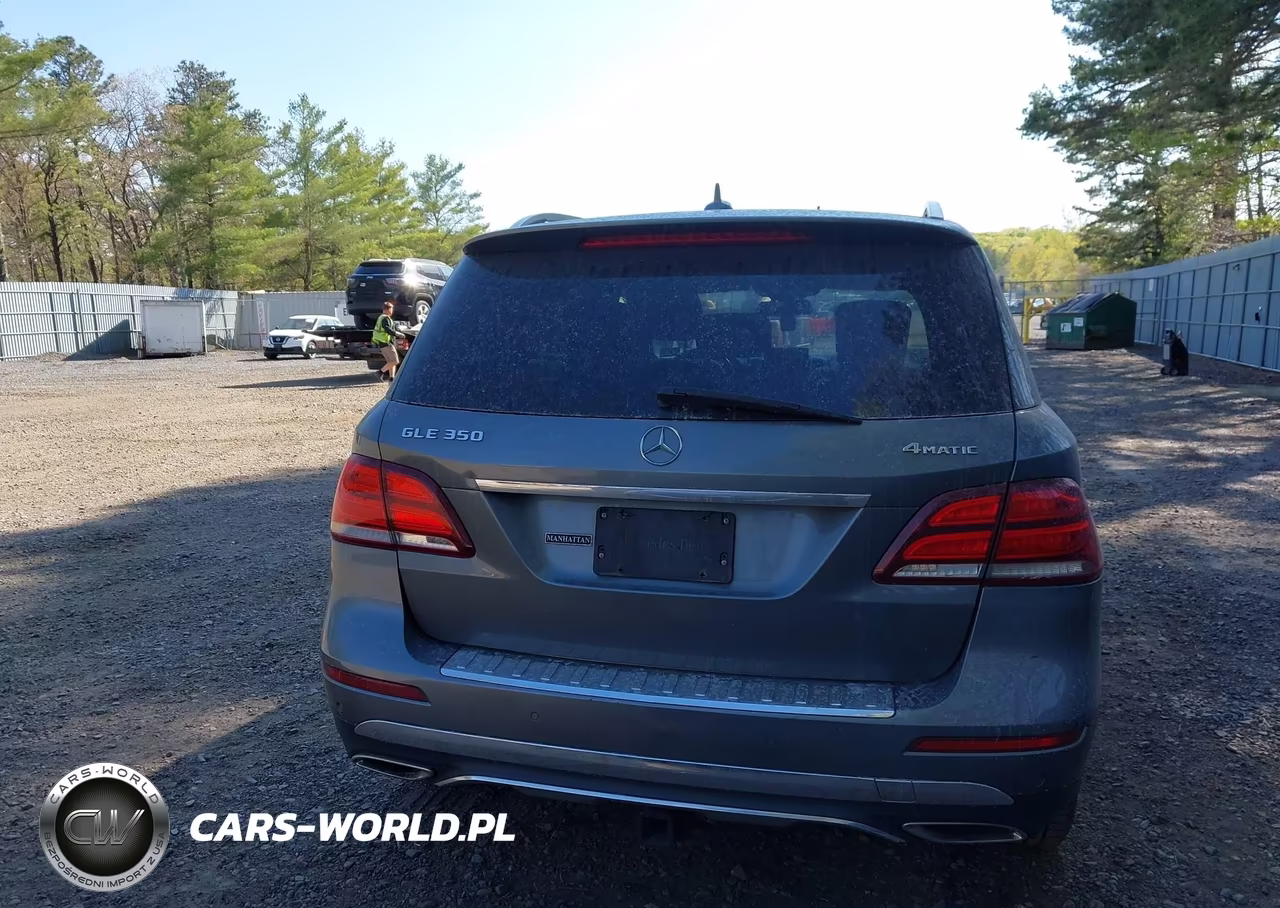 2017 Mercedes-Benz Gle 350 4Matic VIN:4JGDA5HBXHA897864 - 16