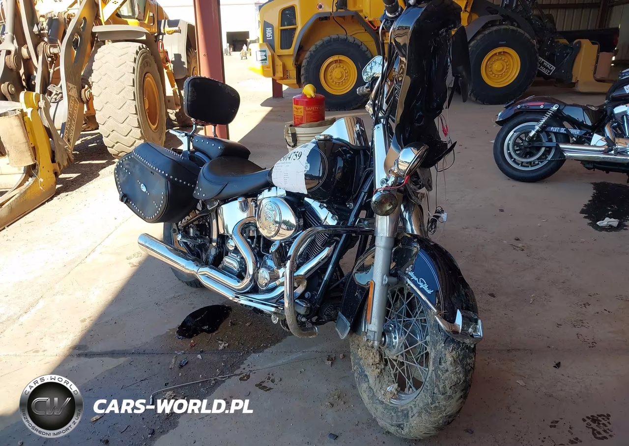 2004 Harley-Davidson Flstc