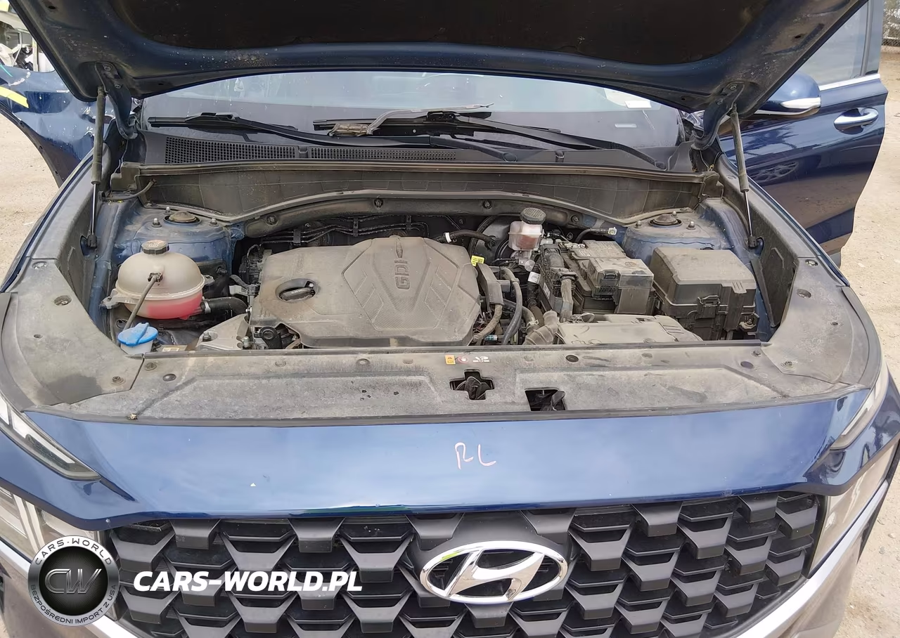 2023 Hyundai Santa Fe Sel VIN:5NMS2DAJ5PH549365 - 10