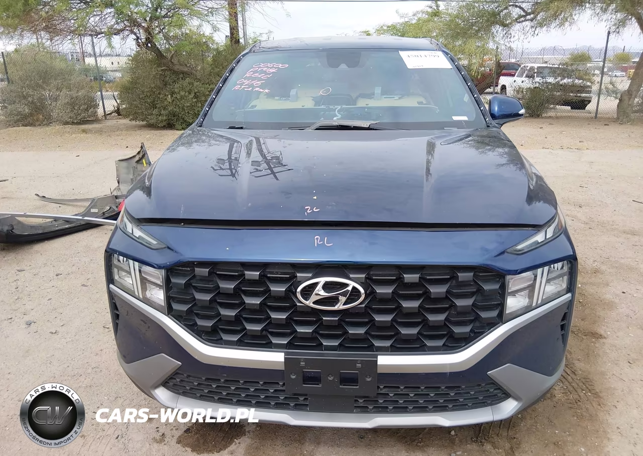 2023 Hyundai Santa Fe Sel VIN:5NMS2DAJ5PH549365 - 13