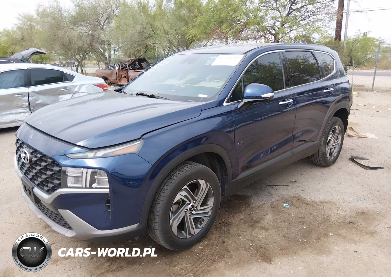2023 Hyundai Santa Fe Sel VIN:5NMS2DAJ5PH549365 - 2