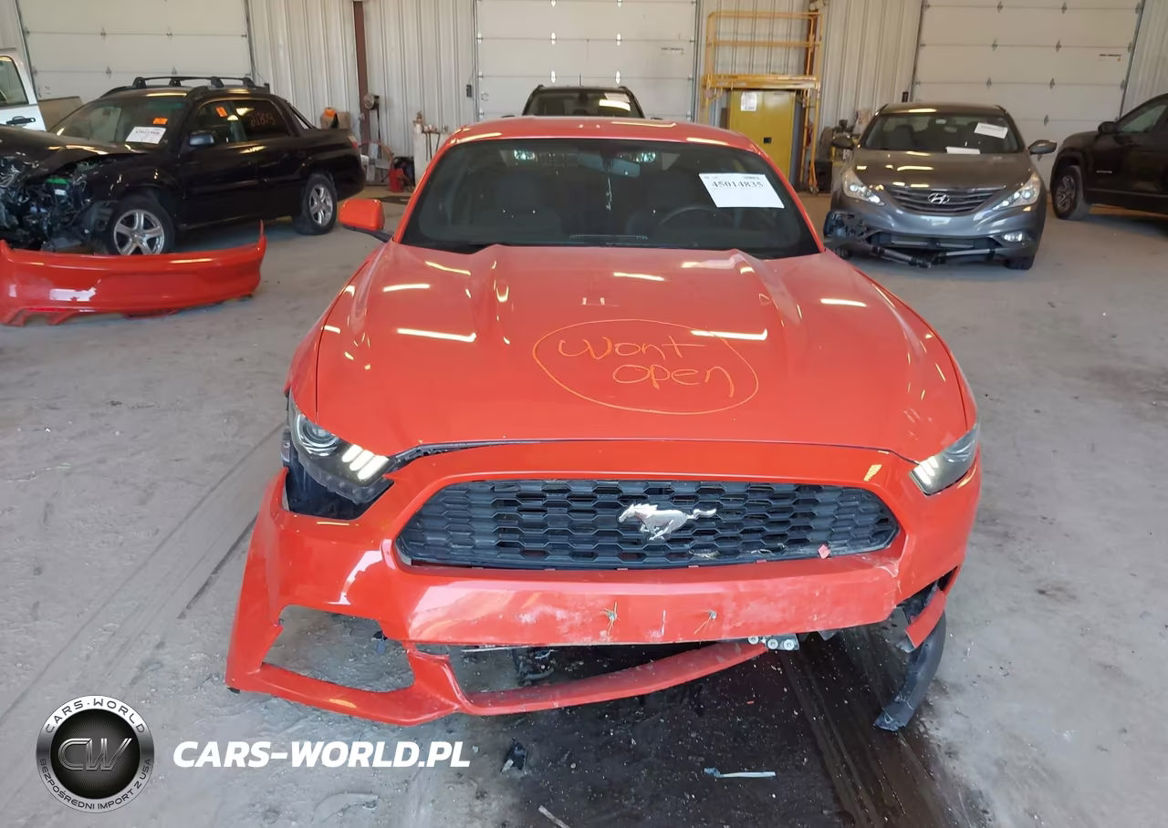 2016 Ford Mustang Ecoboost VIN:1FA6P8TH8G5245685 - 13