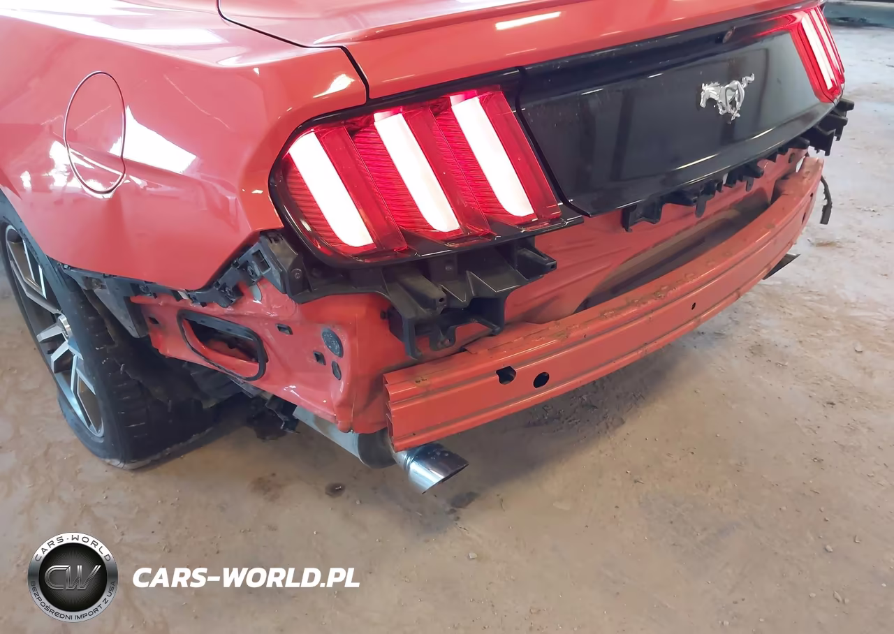 2016 Ford Mustang Ecoboost VIN:1FA6P8TH8G5245685 - 19