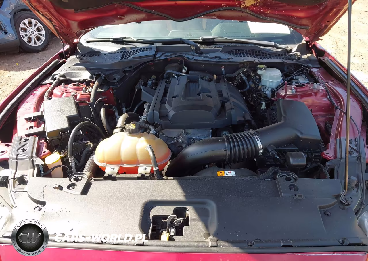 2016 Ford Mustang Ecoboost VIN:1FA6P8THXG5264089 - 10