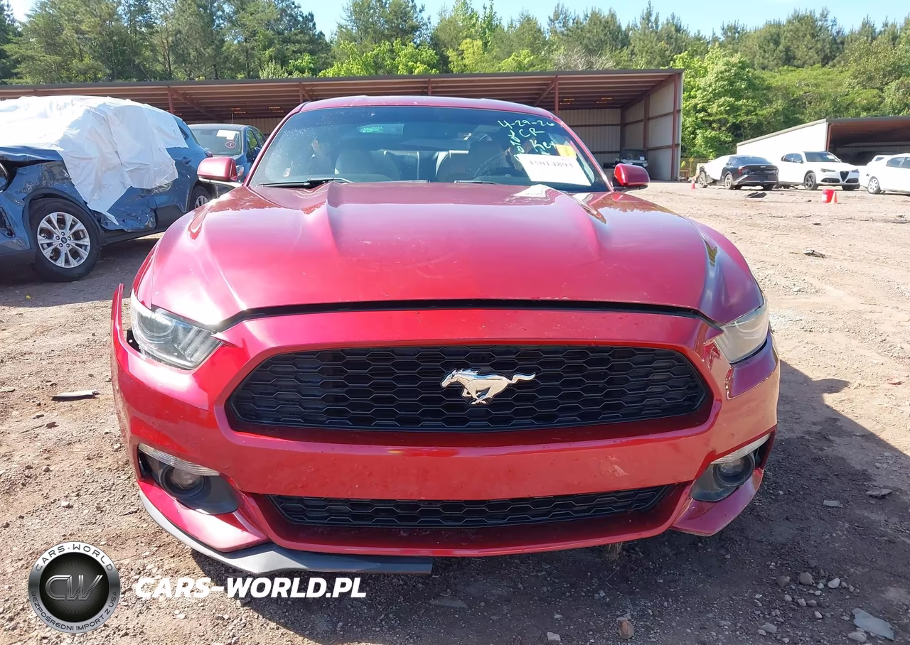 2016 Ford Mustang Ecoboost VIN:1FA6P8THXG5264089 - 13