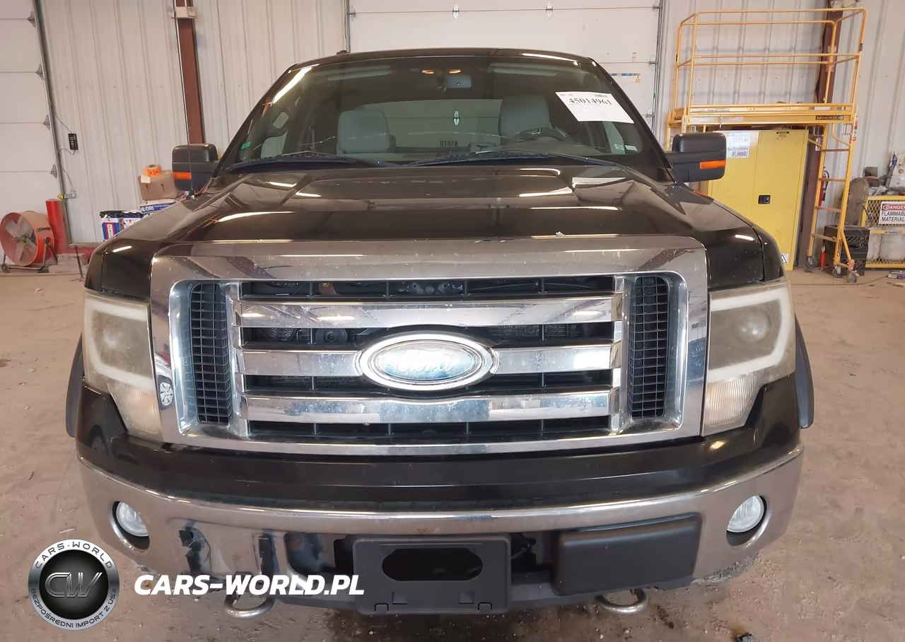 2009 Ford F-150 Fx4-Lariat-Xl-Xlt VIN:1FTPX14V59FB29562 - 12
