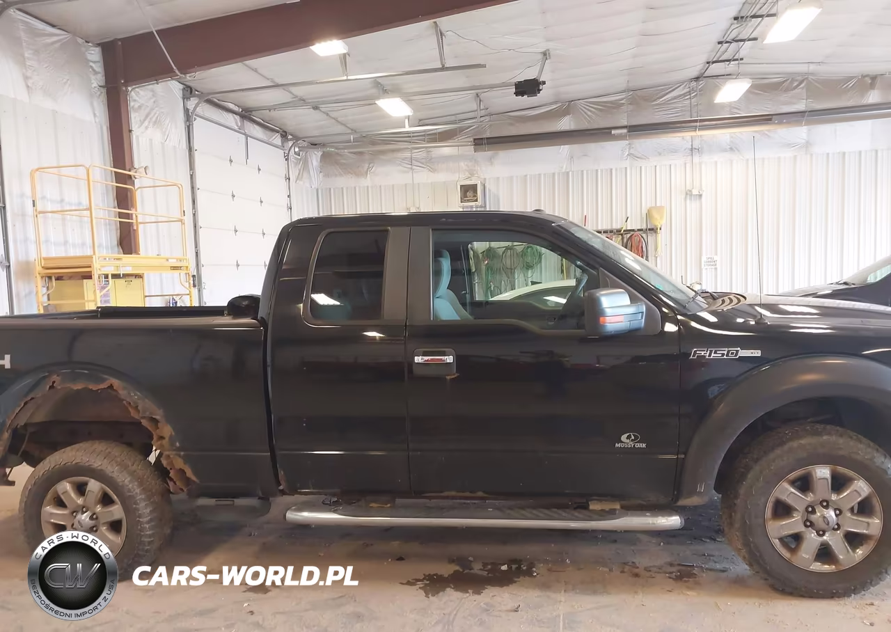2009 Ford F-150 Fx4-Lariat-Xl-Xlt VIN:1FTPX14V59FB29562 - 13