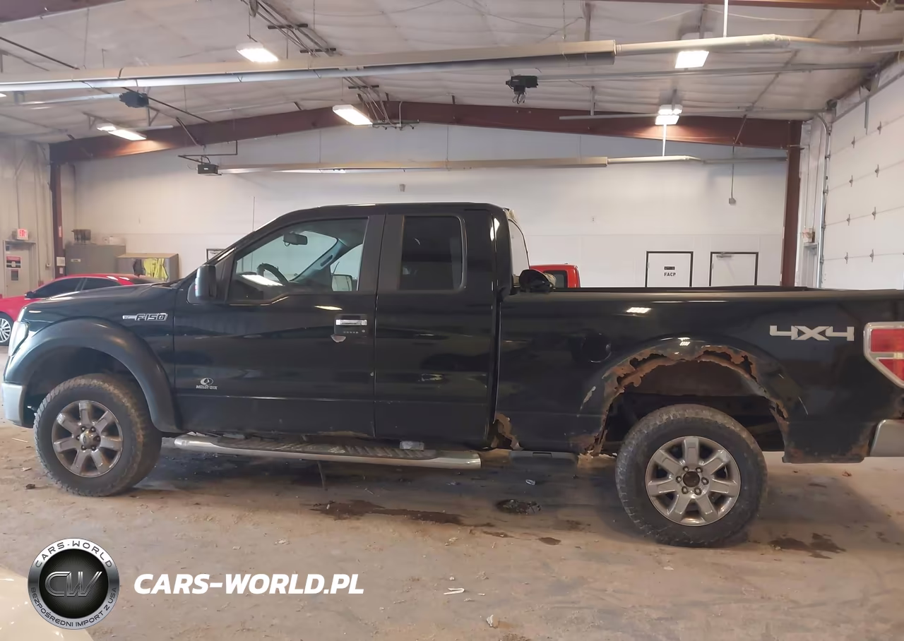 2009 Ford F-150 Fx4-Lariat-Xl-Xlt VIN:1FTPX14V59FB29562 - 14