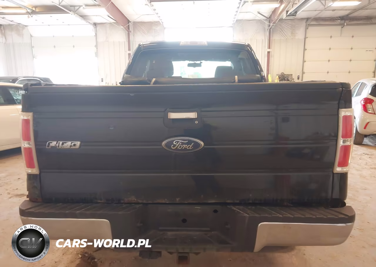 2009 Ford F-150 Fx4-Lariat-Xl-Xlt VIN:1FTPX14V59FB29562 - 16