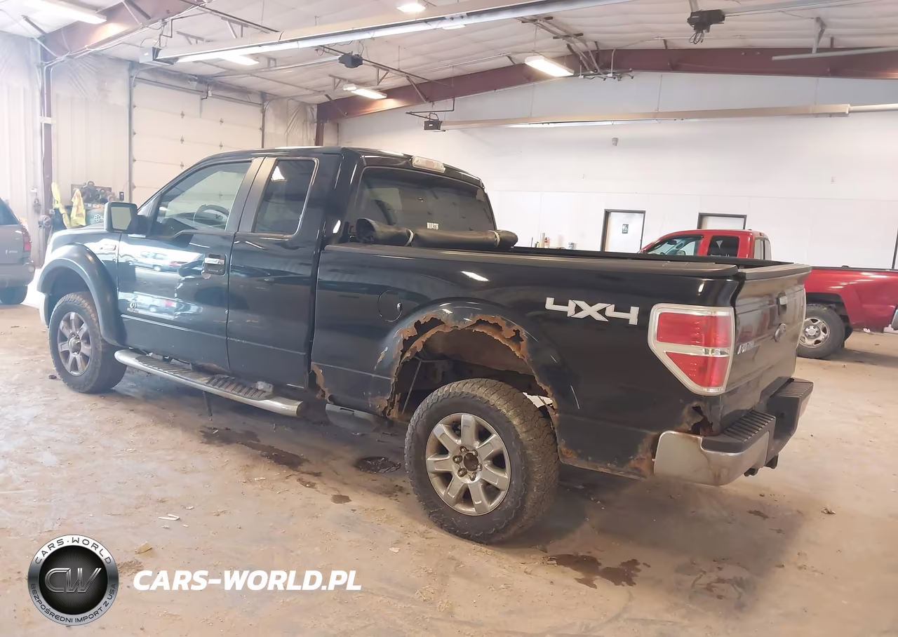 2009 Ford F-150 Fx4-Lariat-Xl-Xlt VIN:1FTPX14V59FB29562 - 3