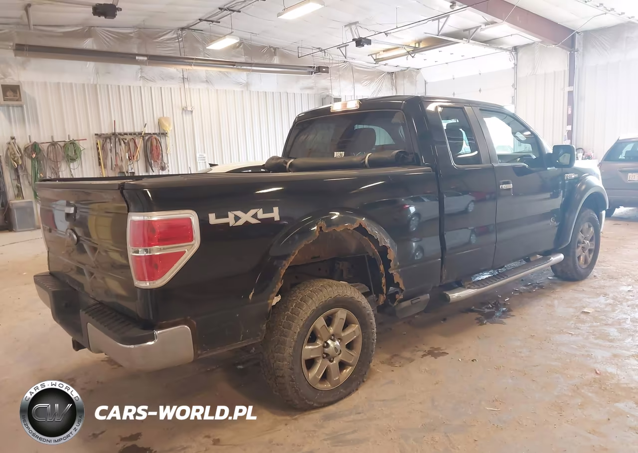 2009 Ford F-150 Fx4-Lariat-Xl-Xlt VIN:1FTPX14V59FB29562 - 4