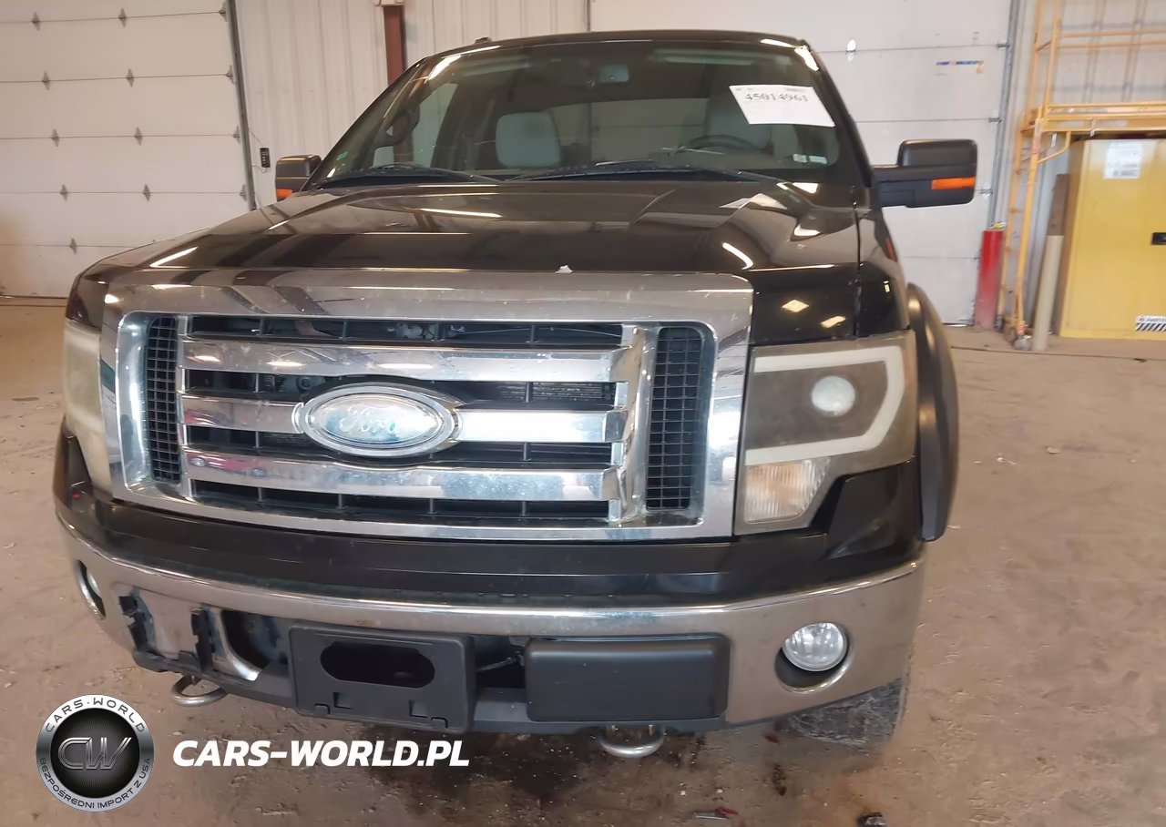 2009 Ford F-150 Fx4-Lariat-Xl-Xlt VIN:1FTPX14V59FB29562 - 6