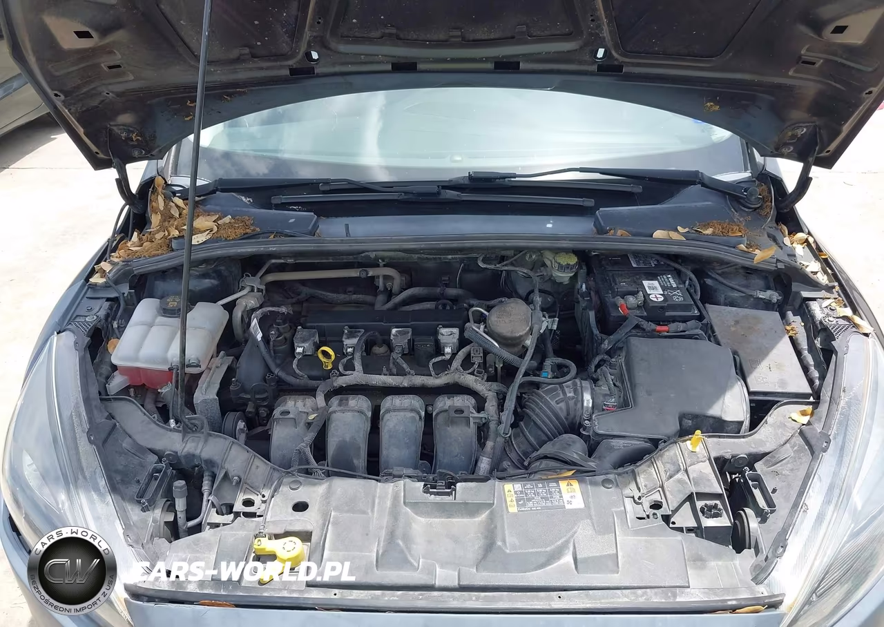 2016 Ford Focus Titanium VIN:1FADP3J28GL237168 - 10