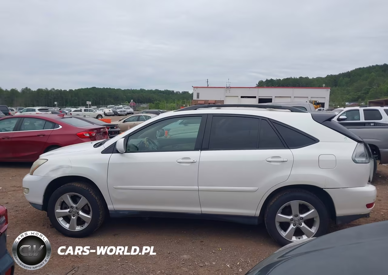 2004 Lexus Rx 330 VIN:JTJHA31U640047961 - 14