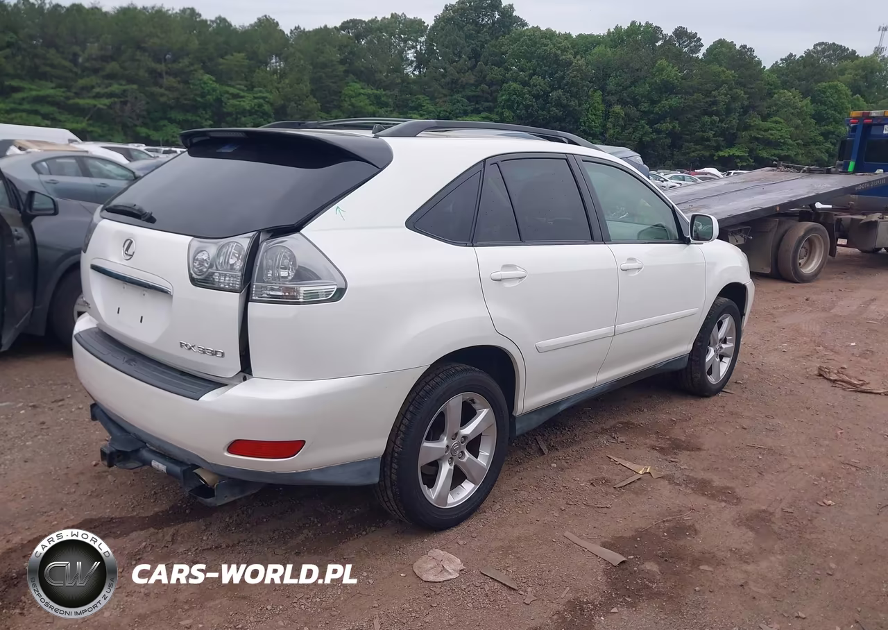 2004 Lexus Rx 330 VIN:JTJHA31U640047961 - 4