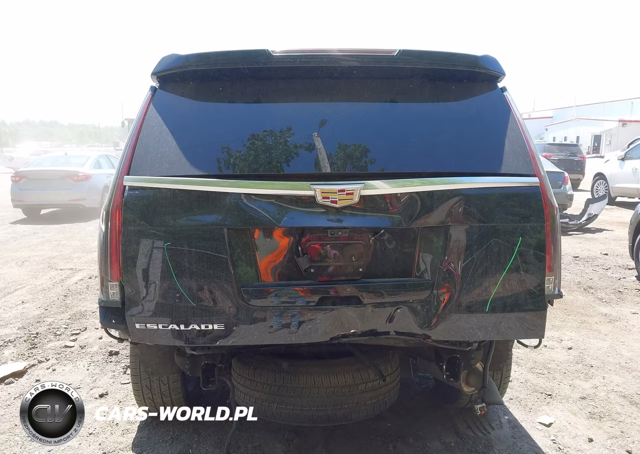 2020 Cadillac Escalade 4Wd Luxury VIN:1GYS4BKJ3LR138964 - 17