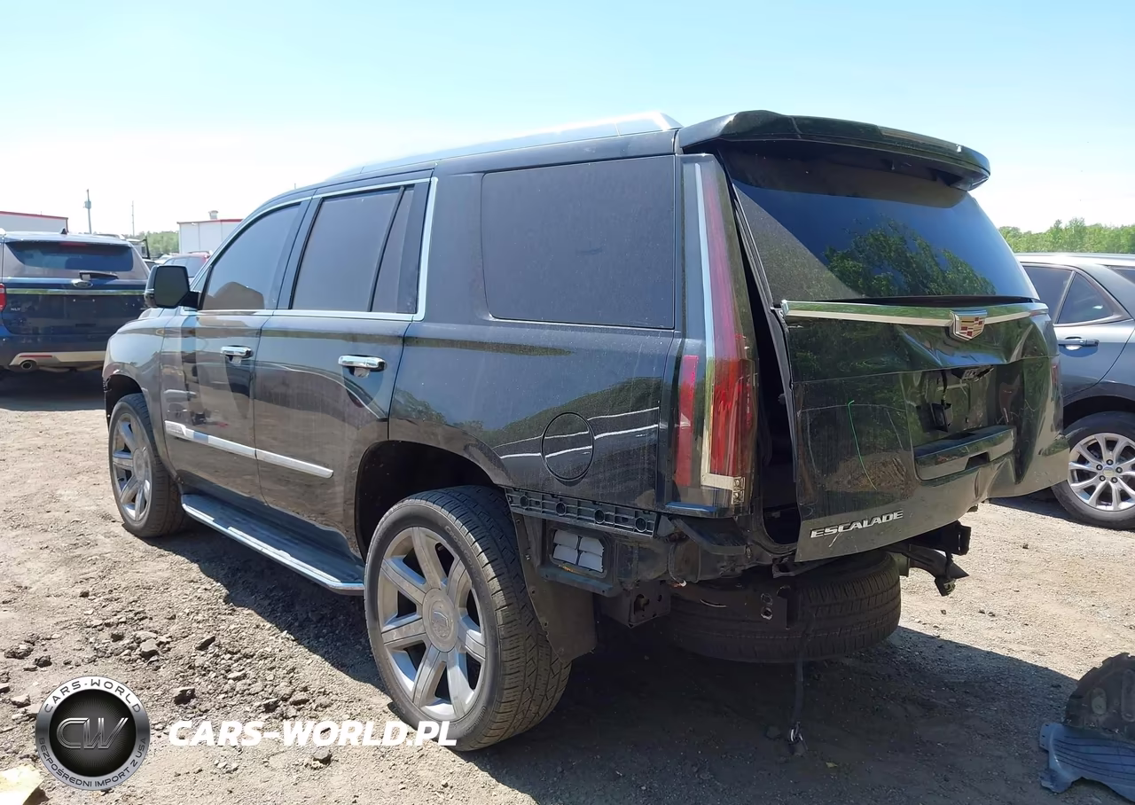 2020 Cadillac Escalade 4Wd Luxury VIN:1GYS4BKJ3LR138964 - 3