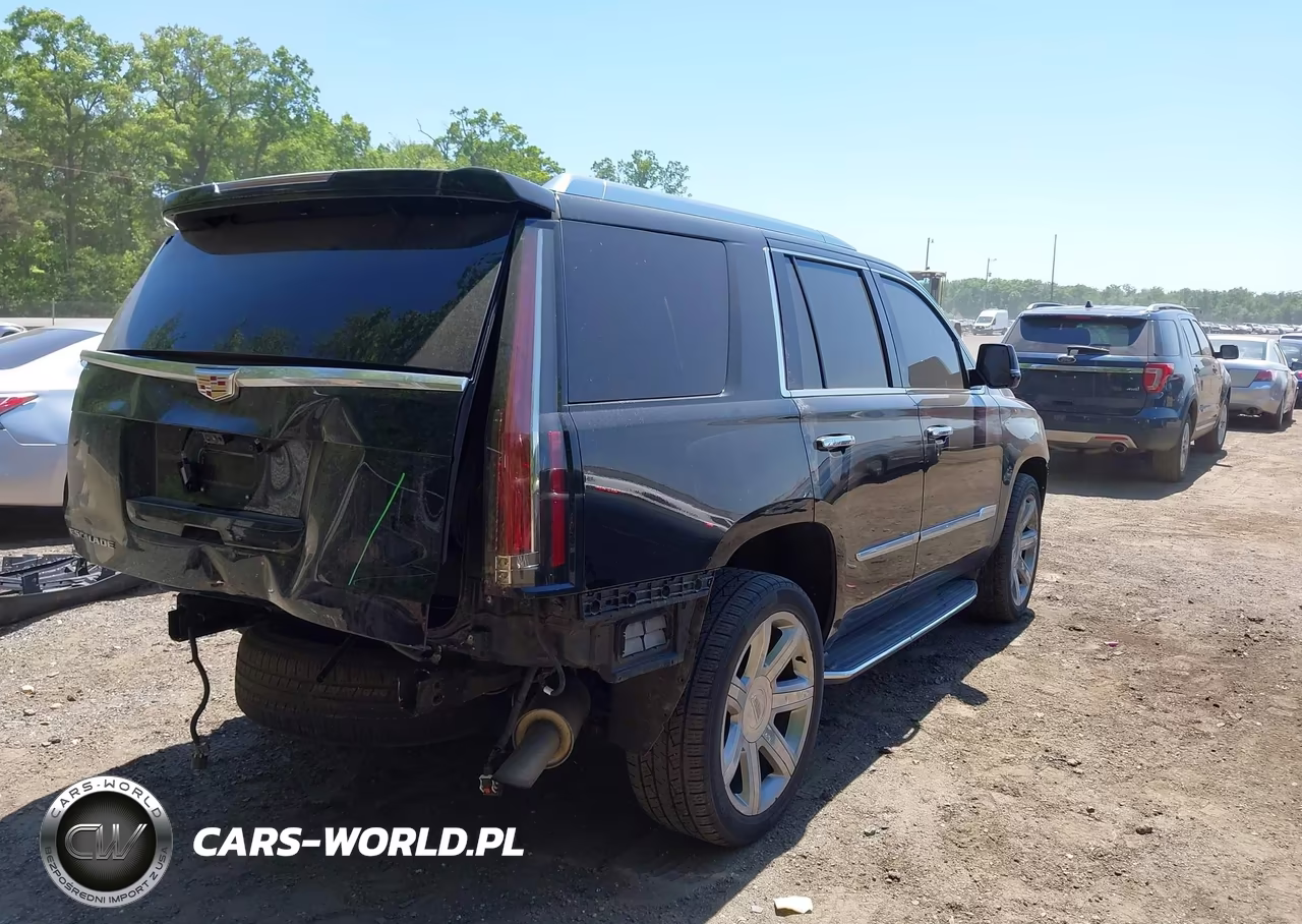 2020 Cadillac Escalade 4Wd Luxury VIN:1GYS4BKJ3LR138964 - 4